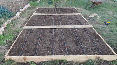 Fraisière terminée Fraisière terminée